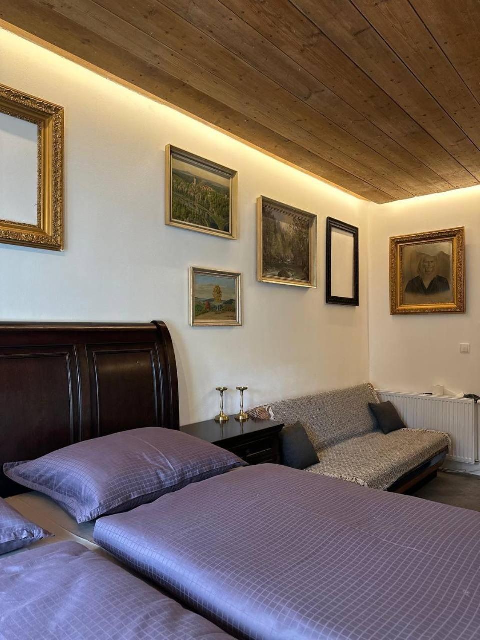 Pension Merano Jetrichovice  Exterior photo